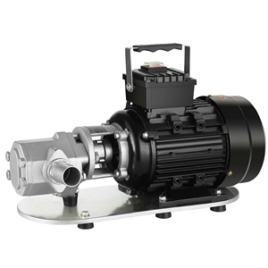 Pompe hydraulique à engrenages auto-amorçante 220V en fonte, haute pression, grand débit, pour transfert d'huile - Product Image 1