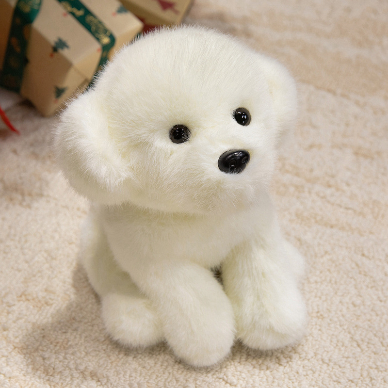 Teddy blanc
