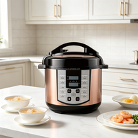 Cuisinière électrique multifonction 12-en-1, 5 L, en acier inoxydable, programmable numériquement, appareil de cuisine