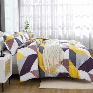 Ensemble de couettes 3 pièces à motif géométrique gris turquoise de style occidental en duvet toutes saisons - Product Image 5