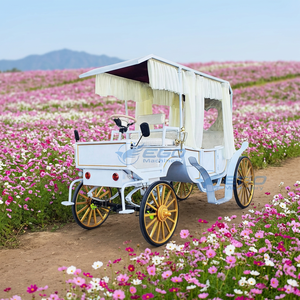 รถขนส่งพิเศษ รถม้าไฟฟ้าสำหรับงานแต่งงาน สไตล์ยุโรป รถม้าชมวิว รถม้าไฟฟ้าสำหรับโรงแรม - Product Image 1