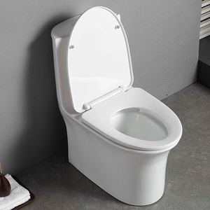 Offre Spéciale – WC Monobloc en Porcelaine Style Moderne à Double Chasse d'Eau pour Hôtels et Maisons – Installation au Sol - Product Image 4