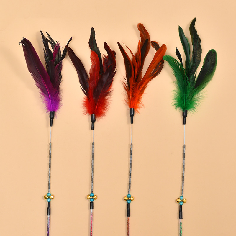 Plume colorée