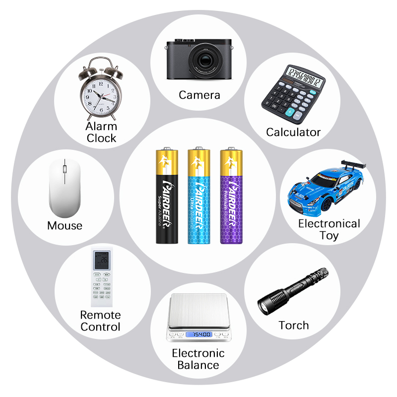 raymax alkaline battery
