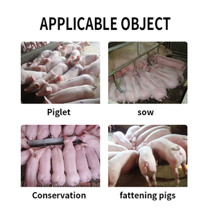 Trang trại sử dụng Probiotics động vật tăng trưởng promoter động vật thức ăn phụ gia Pig Probiotics - Product Image 5