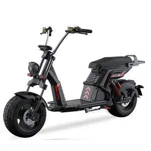 新款批发2000瓦轮毂电机无刷成人电动摩托车2轮胖轮胎电动滑板车