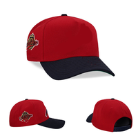 Gorra de Béisbol Personalizada de Alta Calidad de 5 Paneles, Gorras con Letras Bordadas en 3D, Logotipo en Relieve, Gorra de Béisbol de Dos Tonos con Cierre a Presión para Hombre
