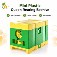 Nouvelle boîte de reproduction légère en plastique pour reine d'abeilles, outil d'apiculture pour ferme apicole, fournie directement par l'usine