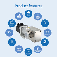Pompe à engrenages magnétique sans joint 40 ml/rev 316L PEEK Servo Asynchrone pour machine de remplissage de sachets de sauce alimentaire
