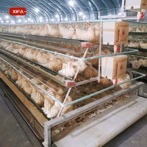 Cage à Poules de Marque à 3 Niveaux, Capacité 128, pour Élevage Commercial de Poules Pondeuses - Promotion Exceptionnelle - Product Image 2