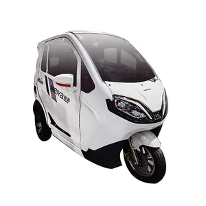 Factory New Producing Two doors Three Wheel Enclosed Adult Electric Tricycle