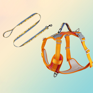 Rompi anjing layanan dapat disesuaikan reflektif, <span class=keywords><strong>Harness</strong></span> kontrol nyaman Set <span class=keywords><strong>Harness</strong></span> anjing tanpa tarik untuk anjing - Product Image 6