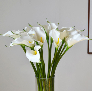 Y-H005 Fleurs artificielles <span class=keywords><strong>Calla</strong></span> Lily en EVA <span class=keywords><strong>de</strong></span> haute qualité au toucher réel, <span class=keywords><strong>Calla</strong></span> Lily blanche pour mariage, fête, décoration <span class=keywords><strong>de</strong></span> la maison - Product Image 1
