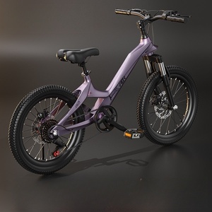 Off-road mountainbike met magnesiumlegering frame, variabele versnellingen en dubbele vering voor jongens, meisjes en tieners - Product Image 3