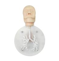 Modelo de Entrenamiento de Broncoscopio para Ciencias Médicas, Modelo de Bronquios para Enseñanza, Modelo de Ramificación Bronquial de Grado 6, Modelo de Entrenamiento Endoscópico
