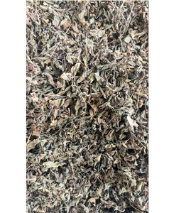 Poudre de feuilles de basilic Tulsi à base de plantes pures - Culture sauvage, qualité alimentaire, séchée, expédition mondiale - Product Image 3