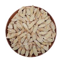 Astragalus, tablet astragalus bebas belerang asli Gansu Minxian, teh kesehatan, kaleng 500g, grosir.