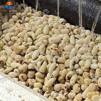 Fengxiang MSTP-80 Dasheen Taro Borstel Schil- en Wasmachine voor Fruit en Groenten, Aangedreven door een Pomp Motor, 300-500kg/uur, Milieuvriendelijk