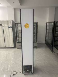 <span class=keywords><strong>Réfrigérateur</strong></span> vertical commercial pour aliments surgelés de <span class=keywords><strong>petite</strong></span> taille, vitrine élégante pour gâteaux et glaces avec porte en verre - Product Image 4