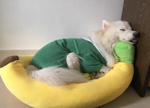 新设计半开超柔保暖可爱仿真香蕉宠物猫狗室内睡眠沙发房床 - Product Image 4