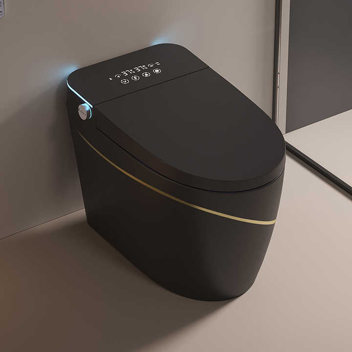 Smart WC Toilets - Intelligent, Comfortable, and Durable