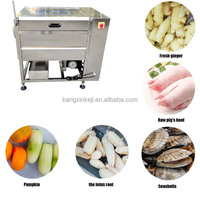 Automatische Borsteldata Reiniging Droge Groente Dragon Fruit Wasmachine