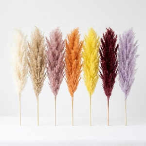 Herbe <span class=keywords><strong>de</strong></span> la Pampa Artificielle <span class=keywords><strong>en</strong></span> Gros, Fausses Herbes <span class=keywords><strong>de</strong></span> la Pampa pour Décoration <span class=keywords><strong>de</strong></span> Mariage, Décoration Bohème pour la Maison, Grandes Herbes Hautes <span class=keywords><strong>en</strong></span> Vrac pour Remplissage <span class=keywords><strong>de</strong></span> Vases - Product Image 2
