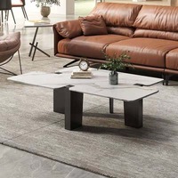 Un salon moderne italien de luxe léger et minimaliste avec une table basse en acier inoxydable de forme irrégulière