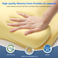 Bleu Blanc Ergonomique Ventre Dossier Oreiller Mousse À Mémoire Dormir Oreiller Cervical Cou Épaule Soulagement De La Douleur