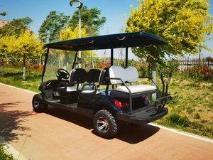 Des agents exclusifs recherchaient une recherche mondiale de voiturettes de golf électriques à moteur 5kW Batterie plomb-acide 6 places Portée de 50 à 70km - Product Image 4