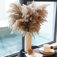 Vente chaude 45 cm Bouquet de fleurs de pampa séchées pour la fête de mariage décoration de la maison Technique sèche naturelle pour Noël Pâques
