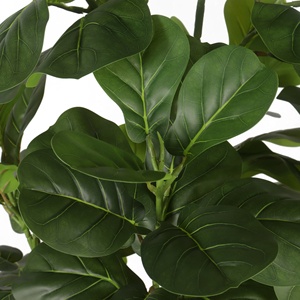 H273 l'<span class=keywords><strong>arbre</strong></span> artificiel en feuilles de ficus microcarpa est utilisé pour la décoration intérieure du salon et des vitrines de magasins de vêtements. - Product Image 4
