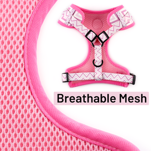 Haustiergeschirr-Lieferant OEM Kundenspezifische Farbe Polyester Hundegeschirr Verstellbar Schmutzabweisend Spezialmaterial 6-teiliges Haustiergeschirr-Set - Product Image 5