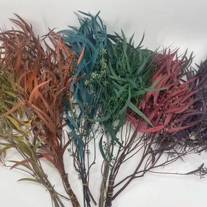 Real Exotica Eucalipto Flor Preservada Plantas de Flores Secas para Floristerí<span class=keywords><strong>a</strong></span> Suministros para Eventos en Casa Bodas Navidad Dí<span class=keywords><strong>a</strong></span> DE LA Madre - Product Image 1