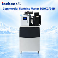 Nouvelle Offre Spéciale 300kg/24h Flocon de neige Flack Machine à glace Smart Commercial et usine Machine à glaçons