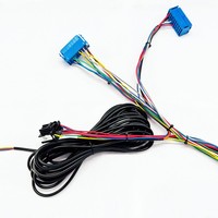 Manufaktur perakitan kabel Harness kabel otomotif listrik otomatis