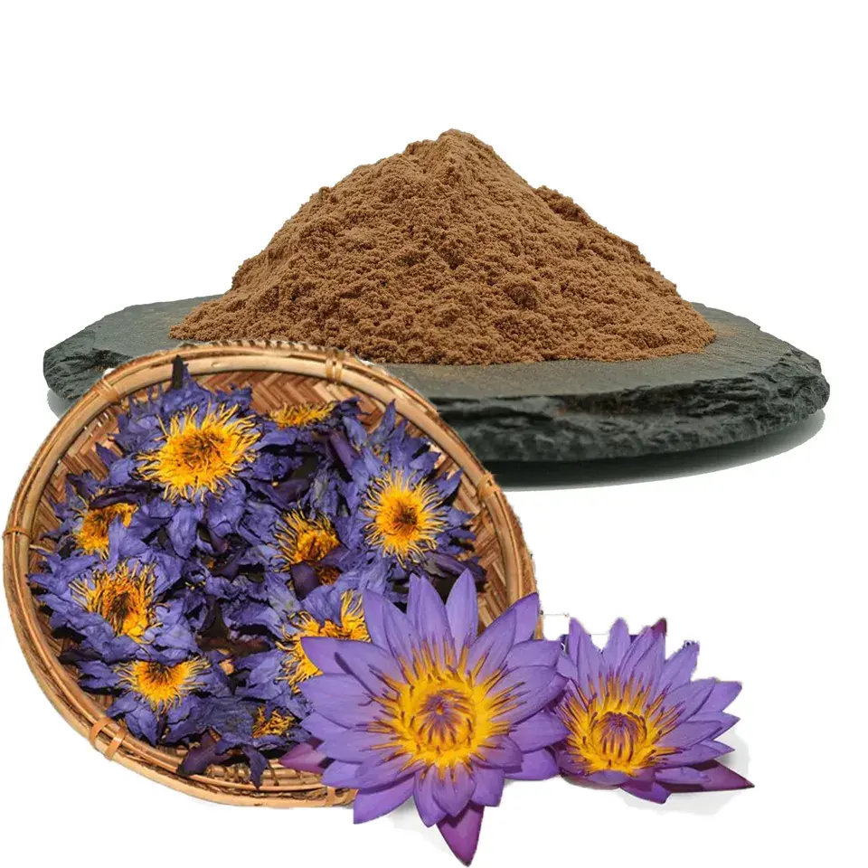 hot sell dried nymphaea tetragona lotus leaf flower extract blue lotus flower extract powder