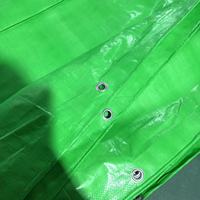 Poly bâche de bâche de PE de haute qualité avec bâche renforcée de feuille de tissu en plastique UV pour l'agriculture/couverture industrielle