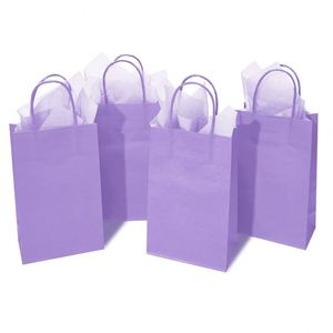 Small Paper Gifts Bags with Handles and <b>Tissue</b> Paper Birthday <b>Wedding</b> Party Goodies Gift Bags Practical Daily Paper Bags - Product Image 1