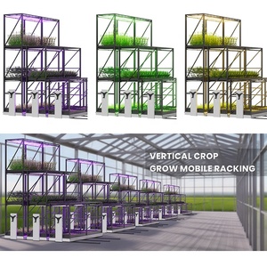 Giải pháp canh tác dọc mật độ cao đa tầng tùy chỉnh hệ thống giá đỡ phát triển dọc di động cho người trồng cây thương mại - Product Image 2