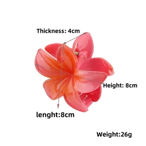 Nouvelles pinces à <span class=keywords><strong>cheveux</strong></span> tendance en plastique en forme de fleur, antidérapantes, personnalisées, pour femmes, outils de coiffure - Product Image 2