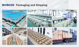 Balanza de Precisión Electrónica Biobase BP1003B 0-100g con Gancho de Pesaje Inferior Integrado e Interfaz de Salida AMD para Laboratorio, Buen Precio - Product Image 3