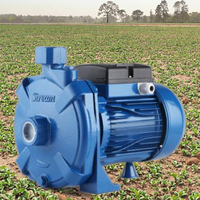 TECHNIC POWER Pompe à eau électrique pour irrigation de surface 1HP SCM100 0.75KW auto-amorçante