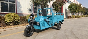 Tricycle électrique de transport SURRIT 48V 801-1000W, capacité de charge 300-400 kg, carrosserie ouverte, trike de fret pour adultes - Product Image 4