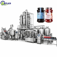 Solution clé en main pour l'usine de transformation de confiture de fruits, ligne de production de confiture de myrtilles et de fraises