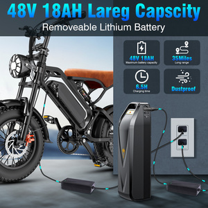 Bicicleta Eléctrica para Adultos con Motor Trasero de 250W, Batería de Litio, Estilo Retro, para Aventuras y Recorridos de Larga Distancia - Product Image 4