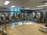 Système de brasserie 5BBL à 3 cuves, ligne de brassage de 500 litres, pour le marché européen