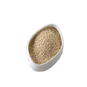 Délicieuses graines de quinoa blanc fabriquées à bas prix Vente en gros