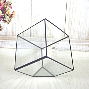 2025 vente <span class=keywords><strong>en</strong></span> gros noir grands Vases <span class=keywords><strong>en</strong></span> cristal clair géométrique <span class=keywords><strong>verre</strong></span> <span class=keywords><strong>Terrarium</strong></span> cuivre plante <span class=keywords><strong>verre</strong></span> <span class=keywords><strong>Terrarium</strong></span> - Product Image 4