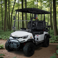 Voiture de golf électrique tout-terrain DC-H-F2+2, 4 places, personnalisable, pour la chasse, avec kit de levage, toutes variantes